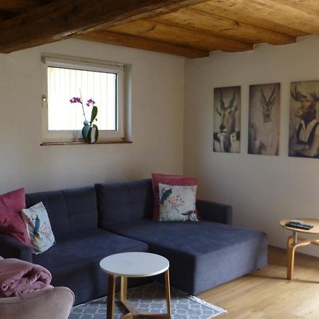 Ferienwohnung Rabennest バート・イシュル エクステリア 写真